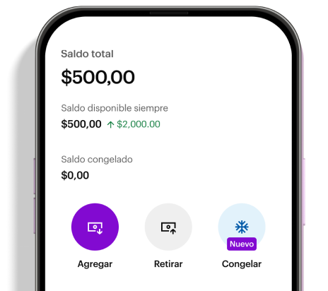 Interfaz de congelación de saldo en la app